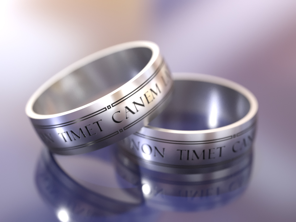 Lupus-non-timet-canem-latrantem